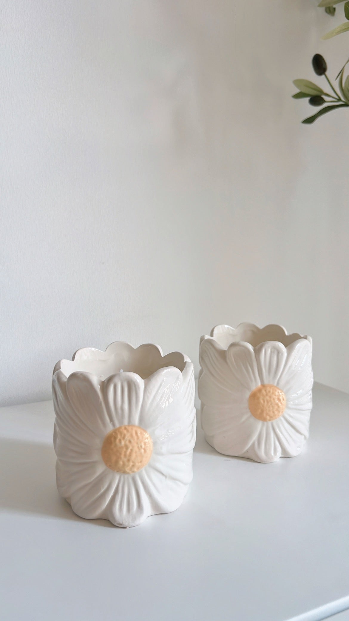 vela bohemia RUPTURA