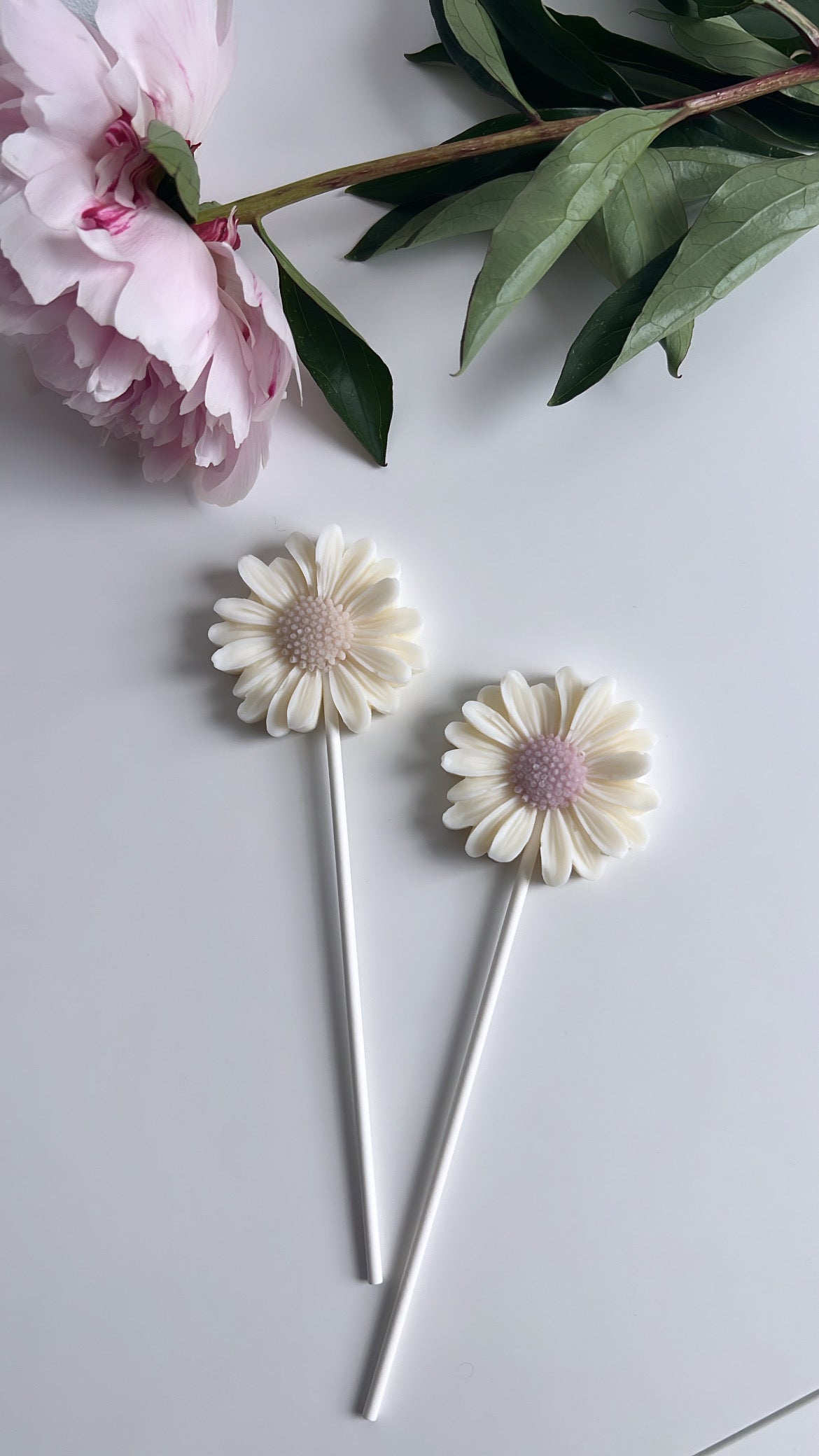 Margarita perfumada rosa antigua personalizada "Gracias"