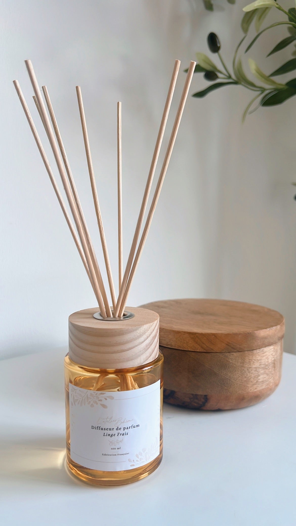 Difusor de perfumes con varillas (100ml)