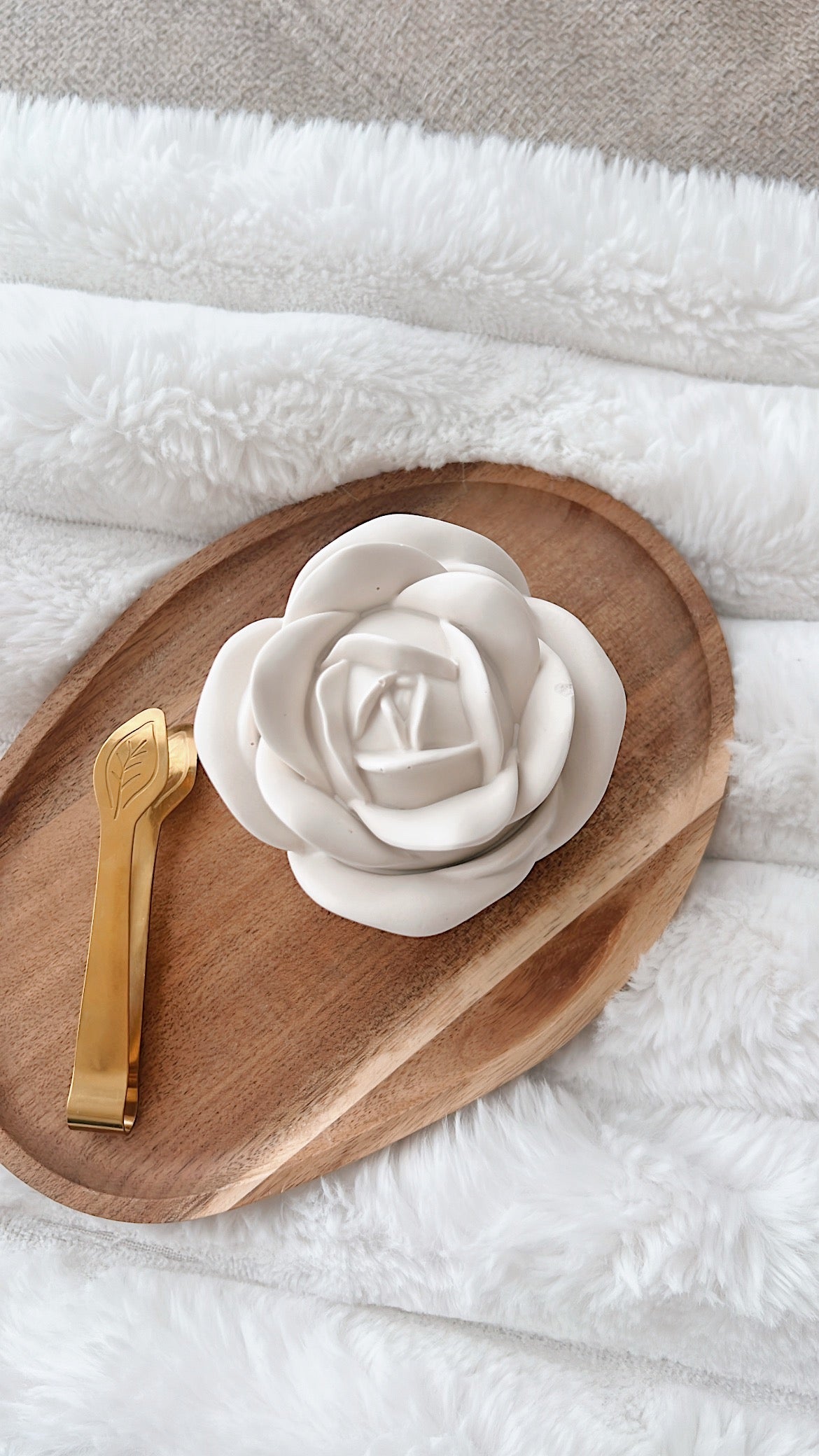 vela bohemia RUPTURA