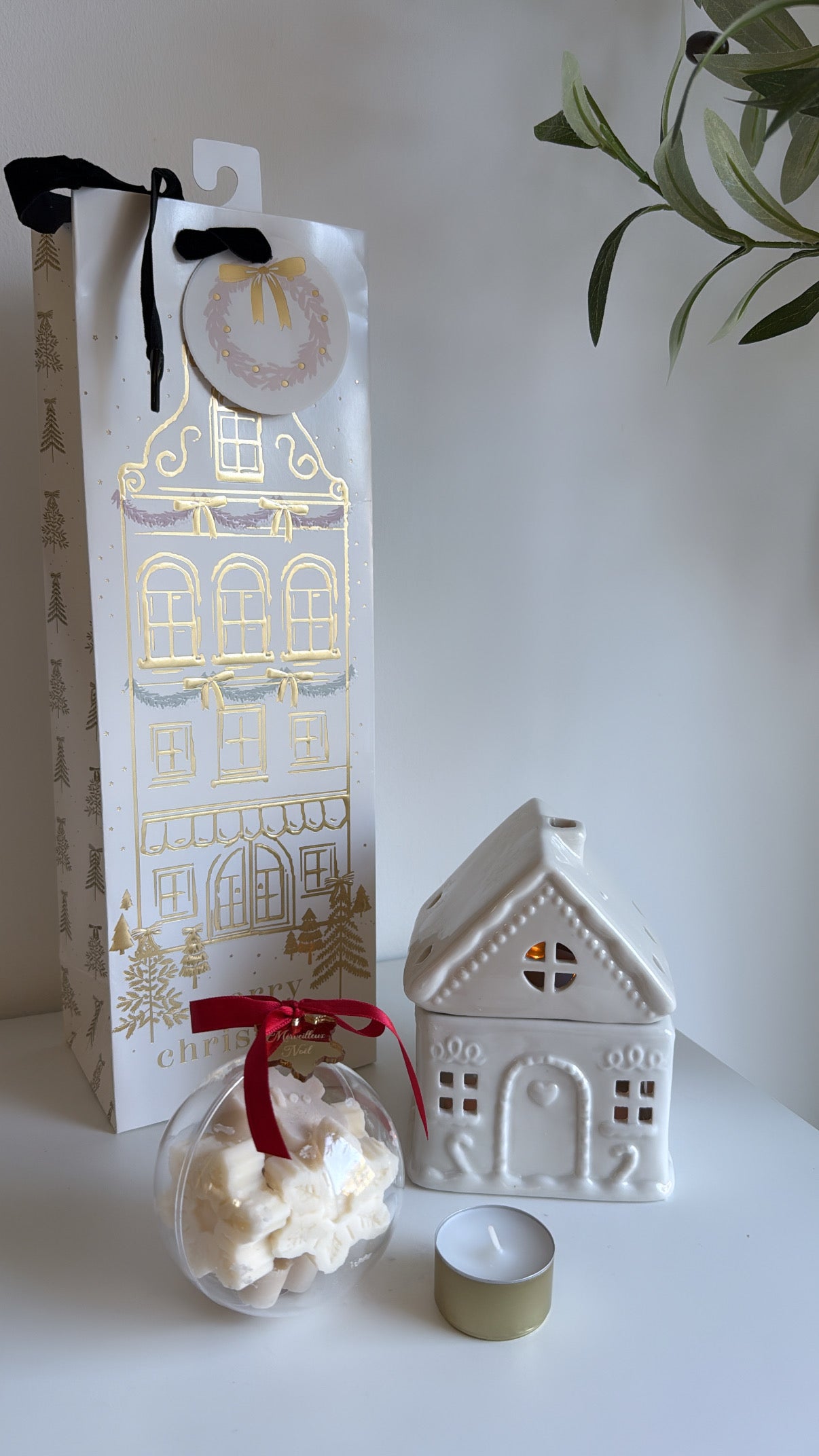 Coffret Cabane enchantée